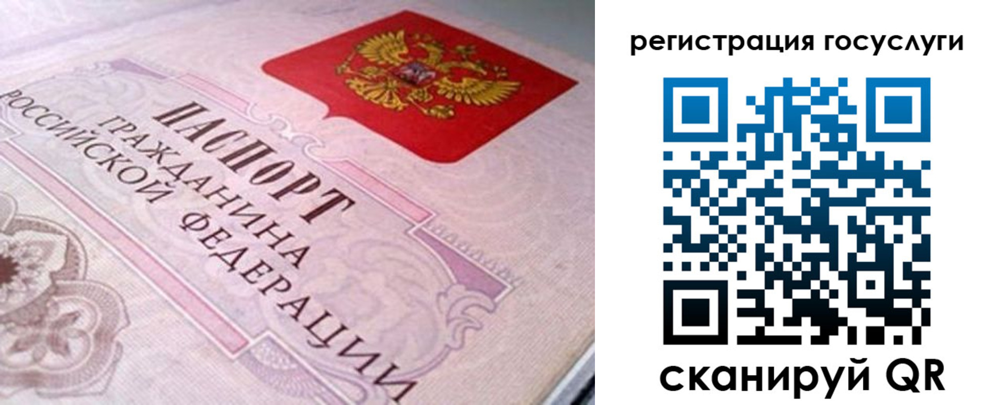 где прописаться в Курской области