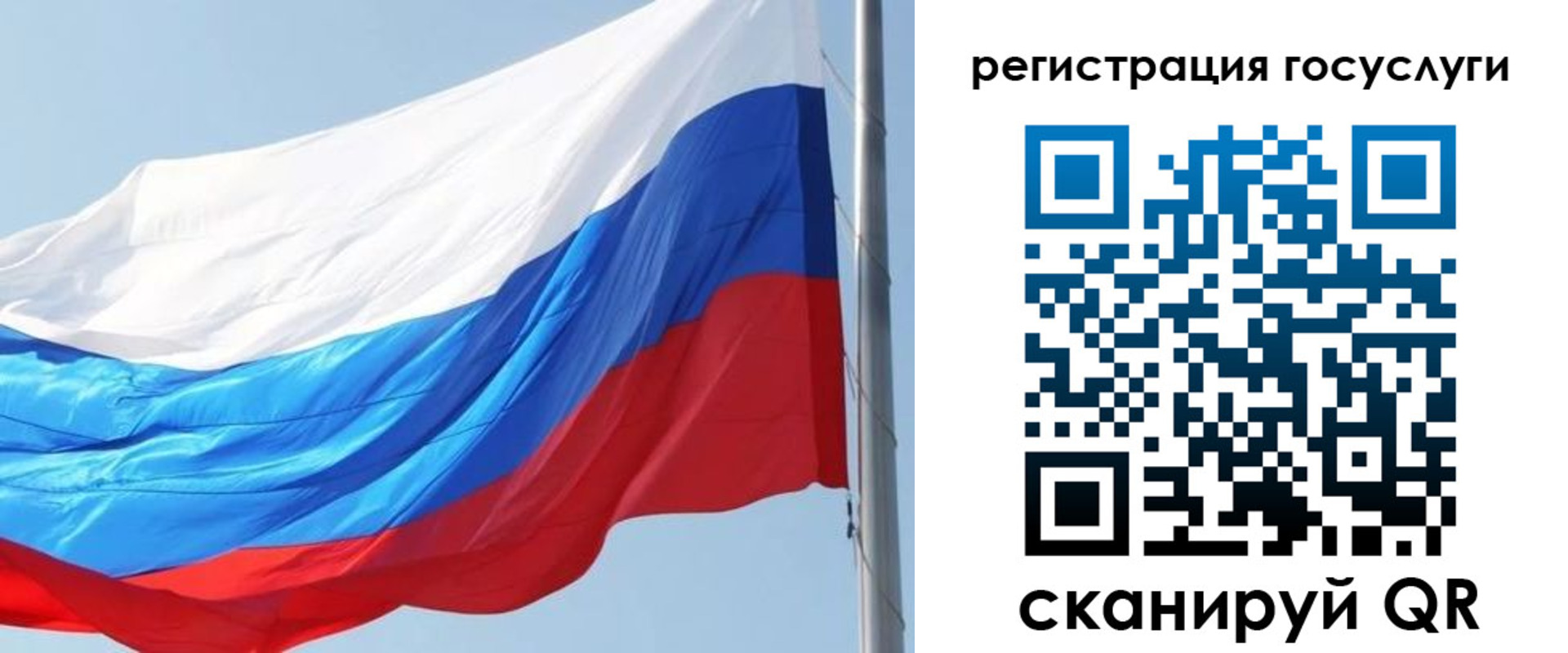 прописка в квартире в Курской области